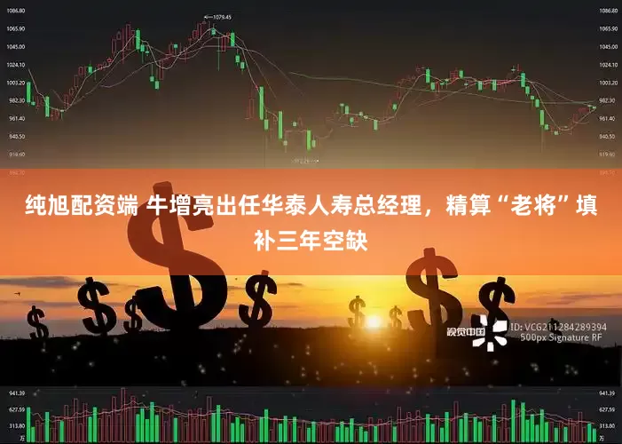 纯旭配资端 牛增亮出任华泰人寿总经理，精算“老将”填补三年空缺