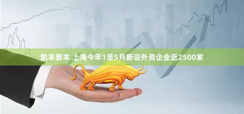 凯丰资本 上海今年1至5月新设外资企业近2500家