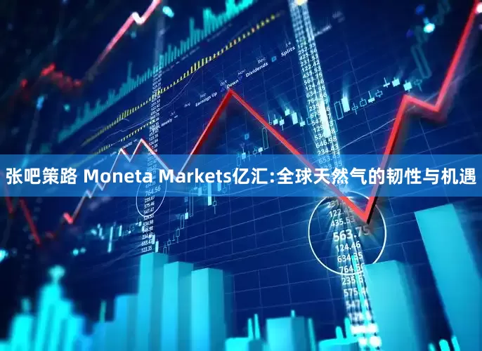 张吧策路 Moneta Markets亿汇:全球天然气的韧性与机遇