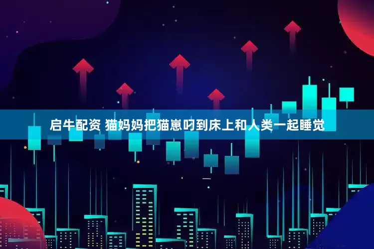 启牛配资 猫妈妈把猫崽叼到床上和人类一起睡觉